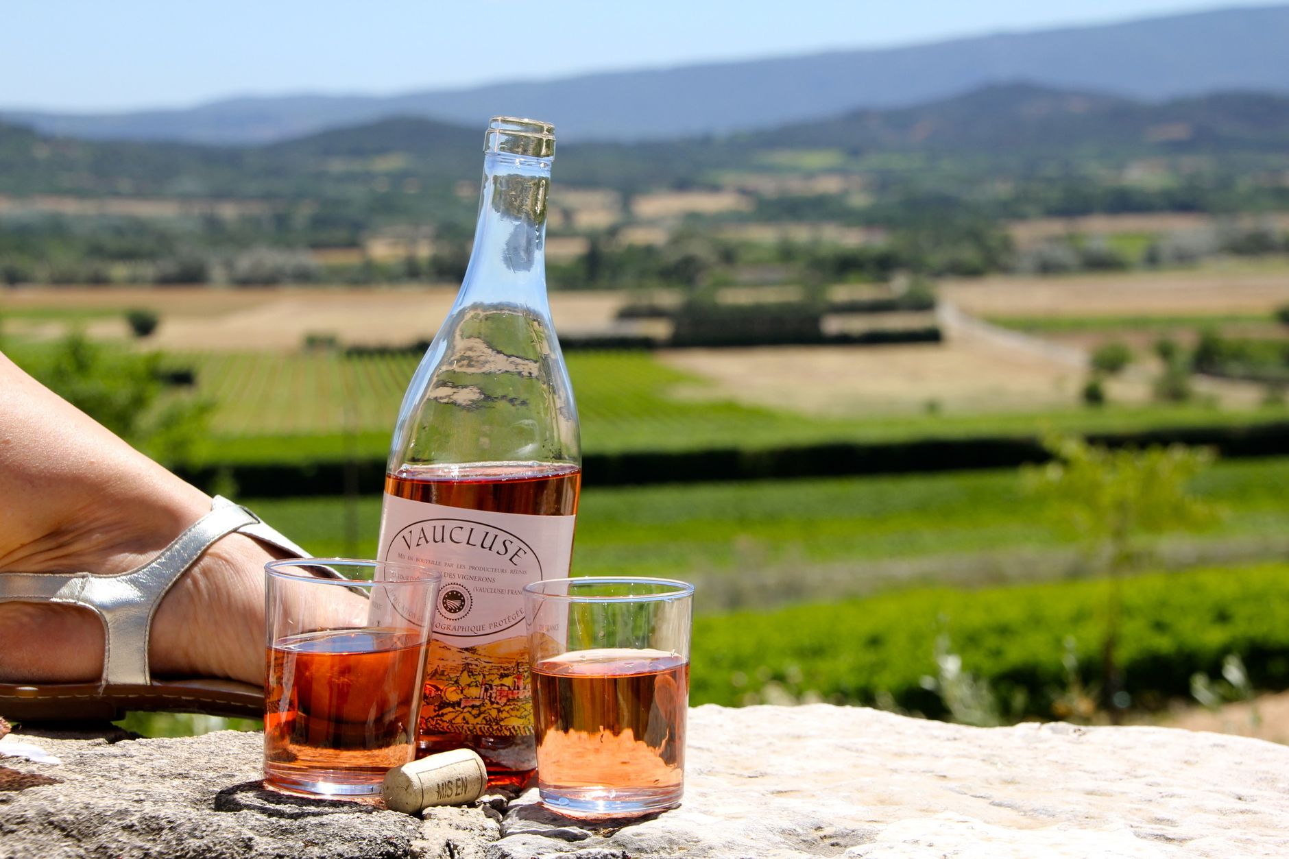 Vignoble provençal et dégustation de vins